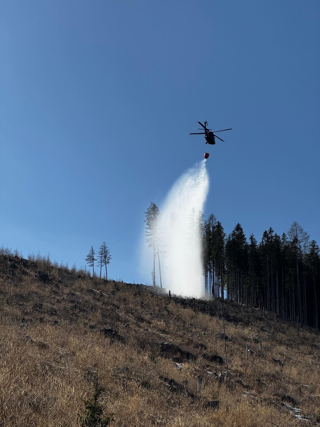 Požiar lesa neďaleko Spišskej Teplice v okrese Poprad sa hasičom podarilo zlikvidovať. 