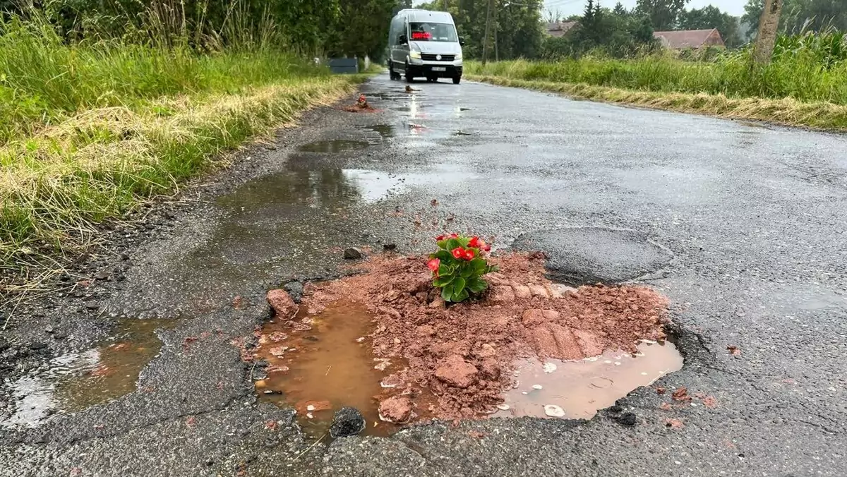 We wszystkich dziurach na kilometrowym odcinku drogi, zasadzone zostały kwiaty (zdjęcia użyczone przez portal 24klodzko.pl)