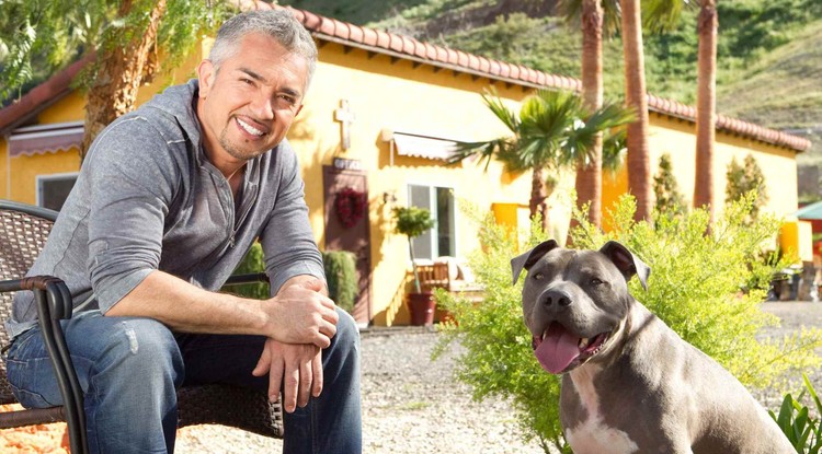 Kutyások, figyelem! Cesar Milan újra Budapestre jön