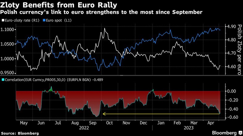 Złoty zyskuje na rajdzie euro