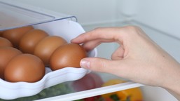 o co chodzi z jajkami? czy można jeść jajka codziennie? co mówi nauka i jak je przygotowywać, by było zdrowo