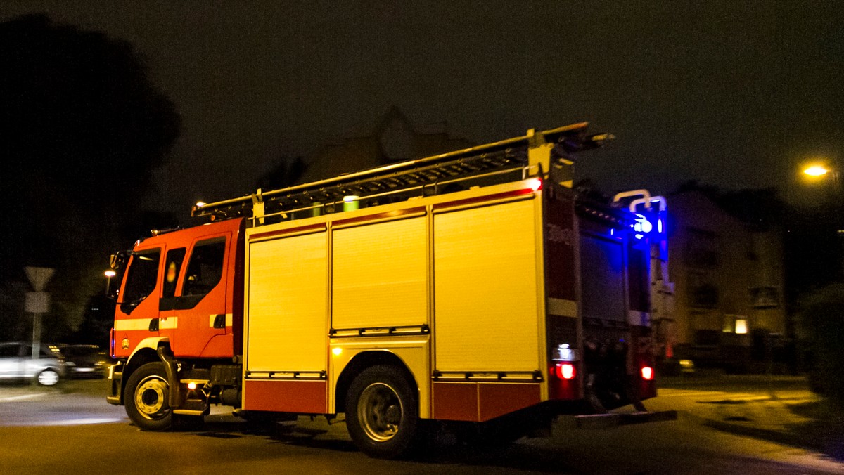 Zgierscy policjanci zatrzymali dwóch młodych mężczyzn, którzy wzniecali pożary, po to by móc je gasić.