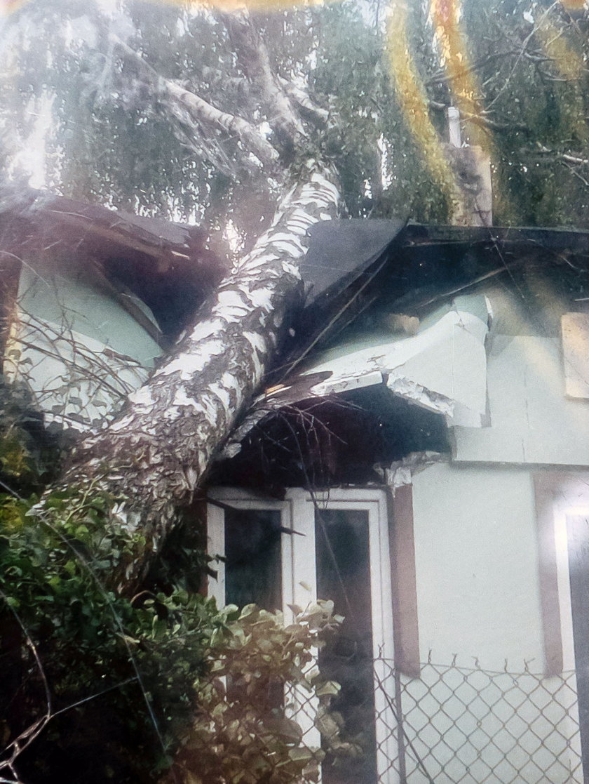 Drzewo spadło na część domu, w której mieszkali pani Anna i pan Mariusz