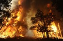 USA TEXAS WILDFIRES