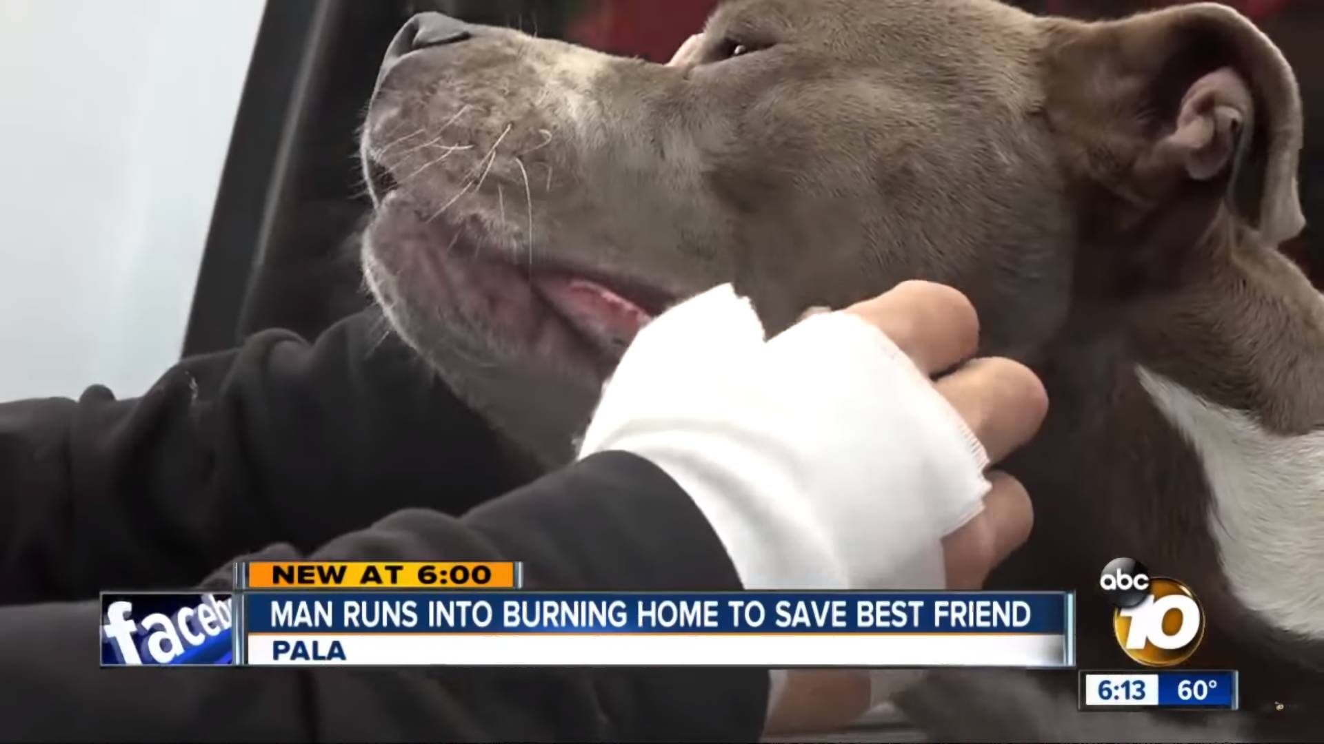 A lángoló házba rohant be, hogy megmentse szeretett kutyáját – VIDEÓ