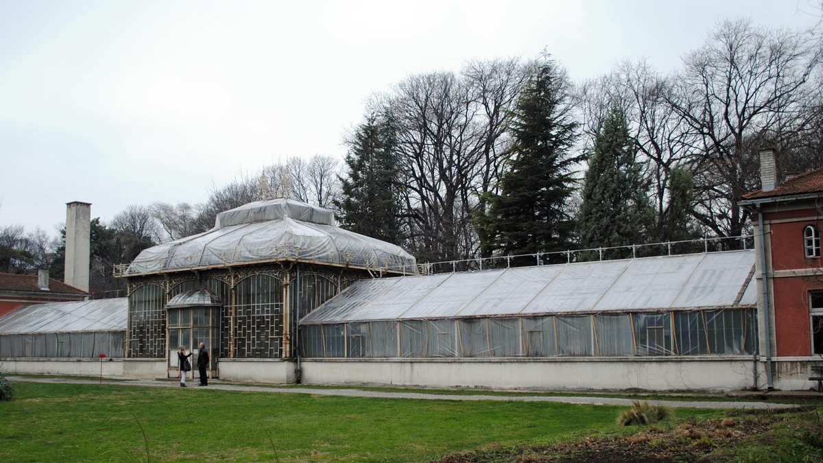 7497_bgd06-botanicka-foto-v-stancevic