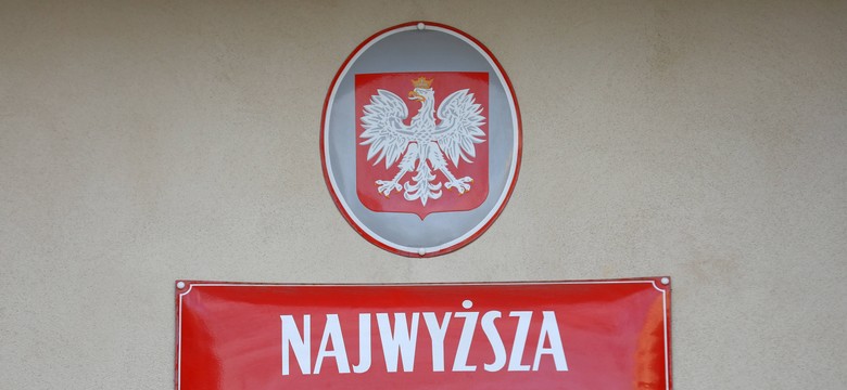 Polska gmina chciała chronić kulinka płonnego. Problem w tym, że taki gatunek ptaka... nie istnieje