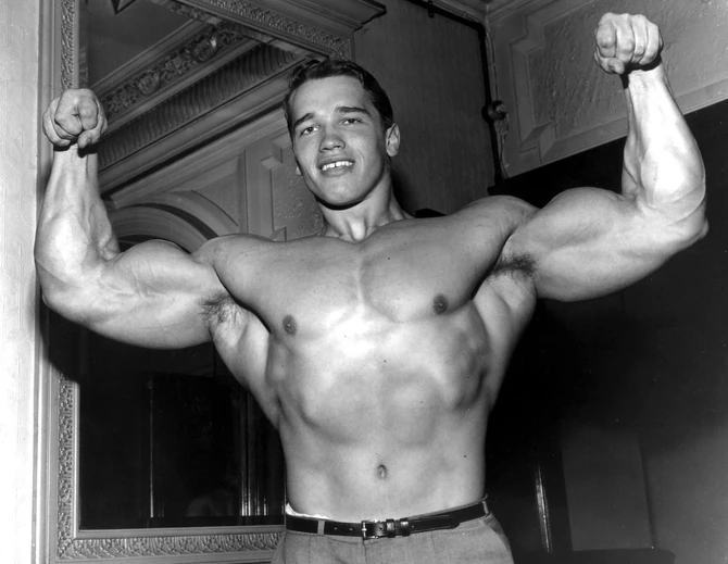 Arnold Švarcenger