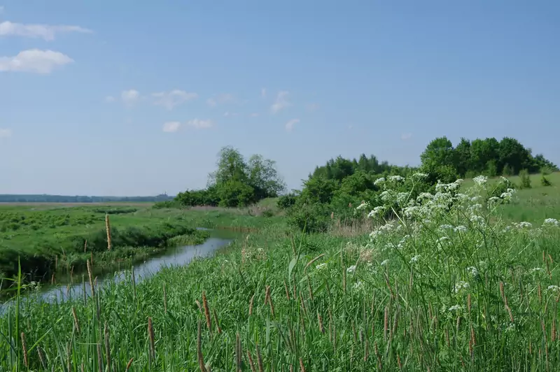 Rów melioracyjny w województwie warmińsko-mazurskim