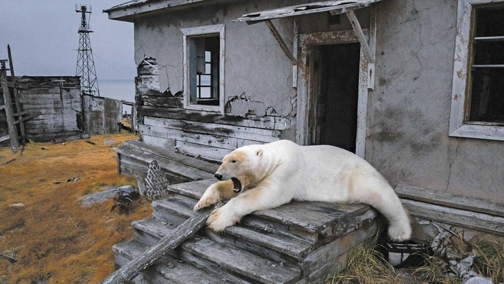 Rosja, czyli perpetuum debile [WYWIAD]