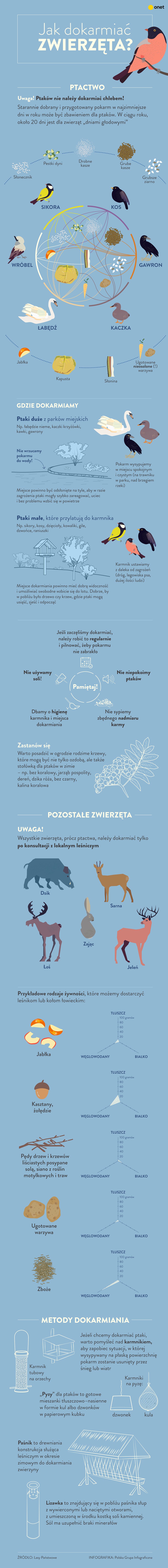 dokarmianie zwierzat