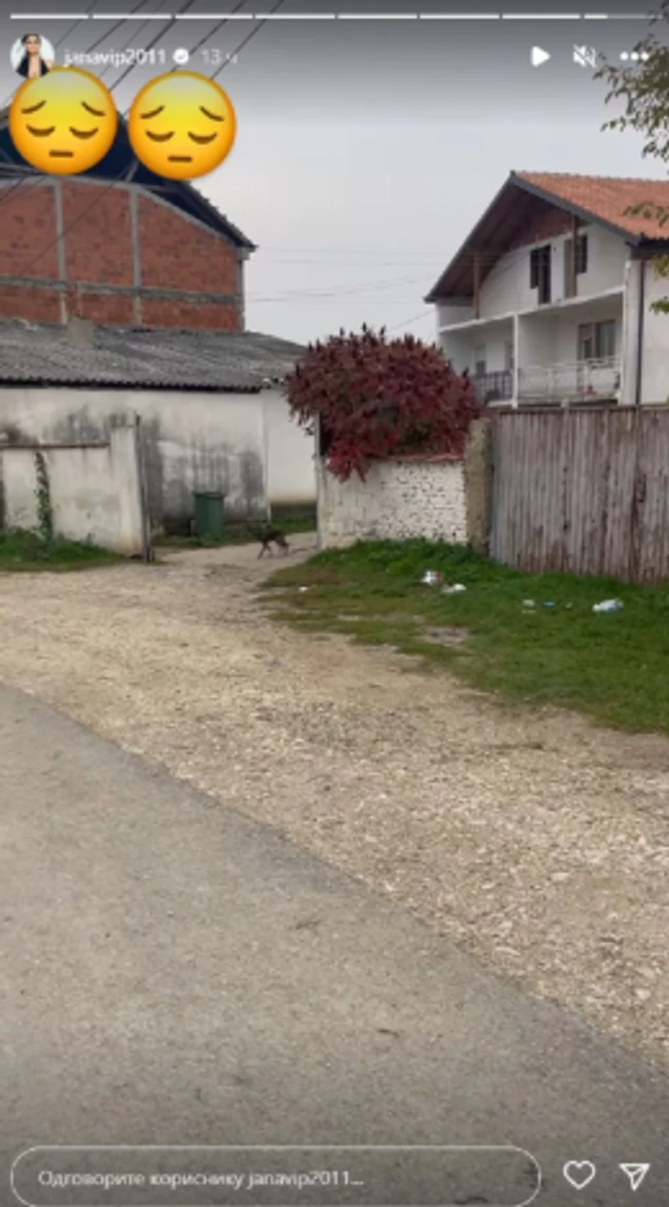 Rodni kraj Jane Todorović