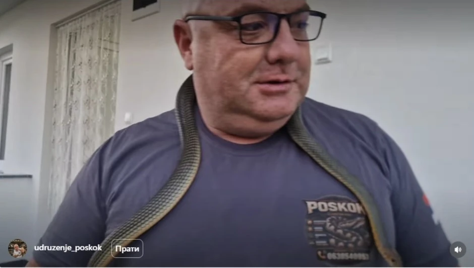 "Biće vraćen u prirodu", poručio je na kraju akcije Vladica Stanković