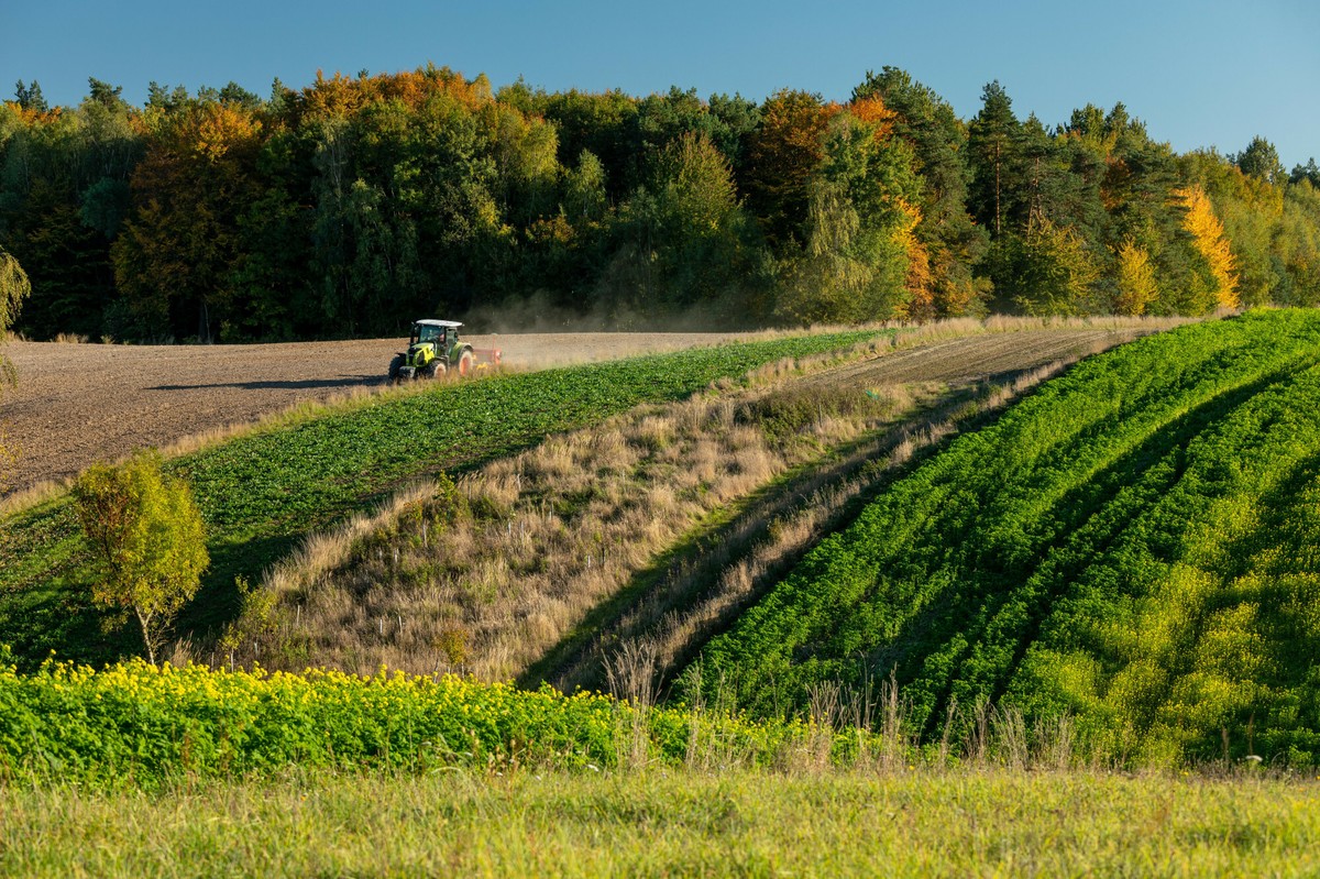 Rząd Donald Tuska przedłuża istotny zakaz. Będzie nowelizacja ustawy