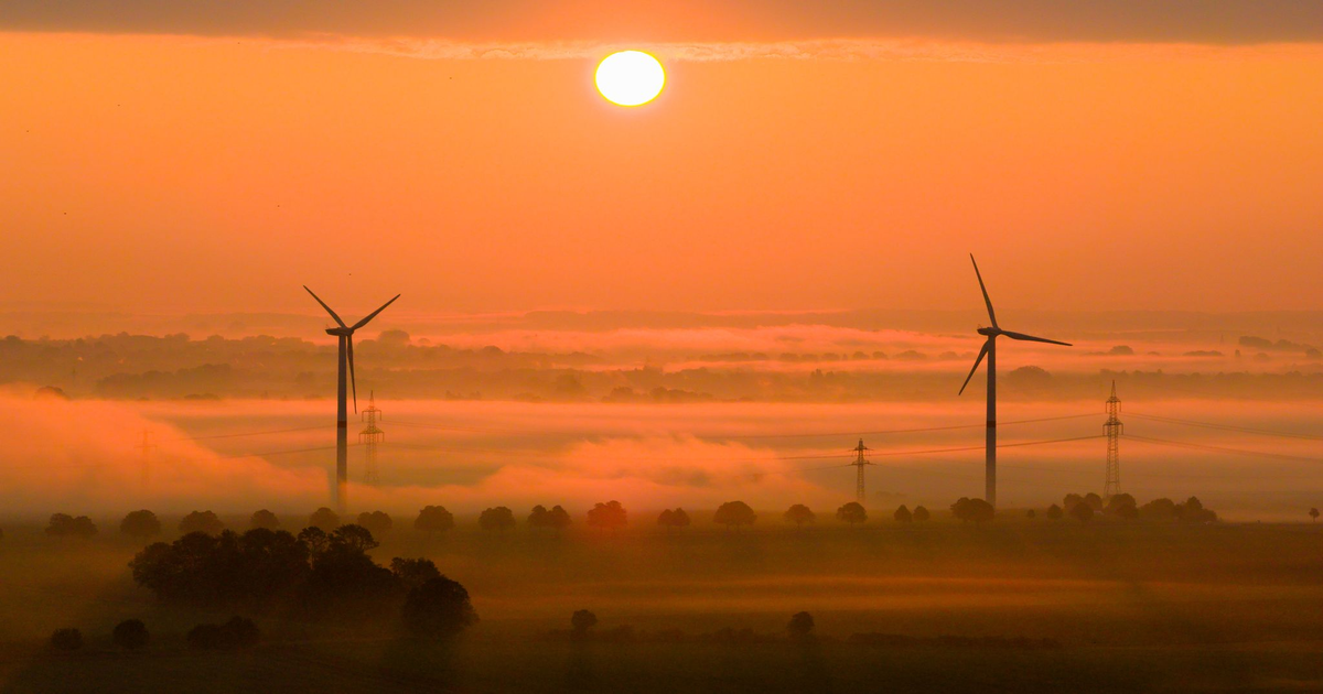 OECD schlägt Alarm: Klimaschutz stockt - 285 Mrd. Euro Schäden, 16.000 Tote