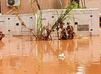 Concerns over upcoming guber election as flood damages Edo INEC office