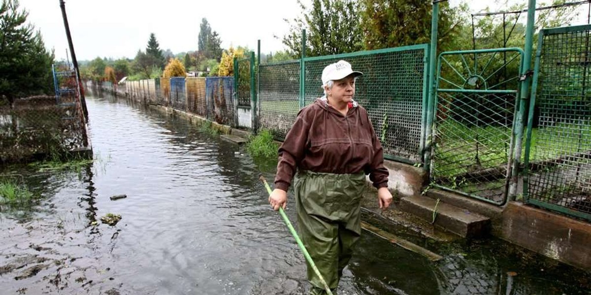 Nasze ogródki toną!