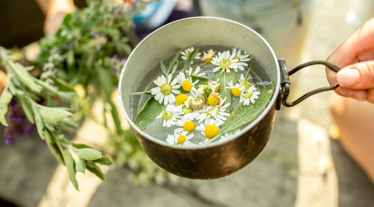 A kamillatea is hatásos a menstruációs görcsök ellen Fotó: Getty Images