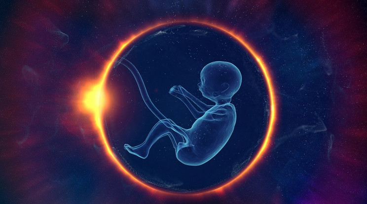 Az anyaméhen kívül, kutatók őssejtekből humán embriók modelljeit hozták létre/Illusztráció: Pexels