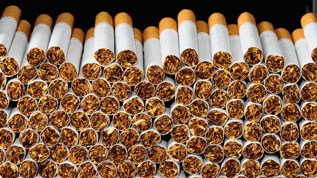Policjanci przejęli 1,3 mln sztuk papierosów bez polskich znaków akcyzy