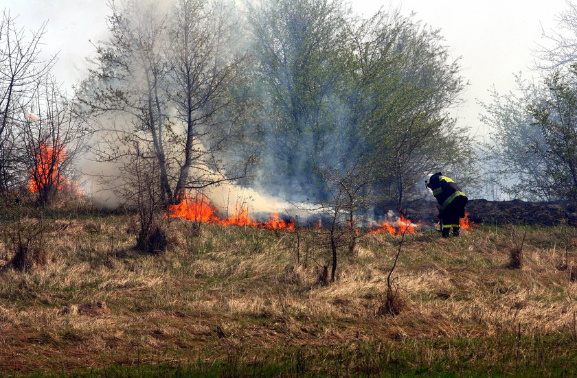 Straż pożarna z Łodzi ostrzega: nie wypalaj trawy. To grozi tragedią