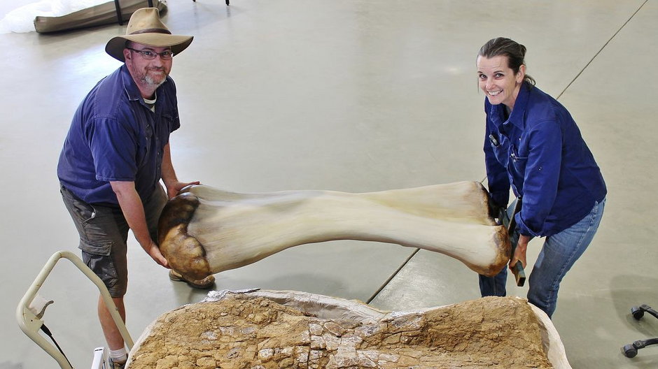 Australia. Odkryto jednego z największych dinozaurów na świecie 