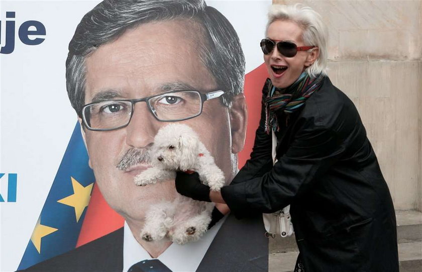Pies przy plakacie Komorowskiego. Czyj?