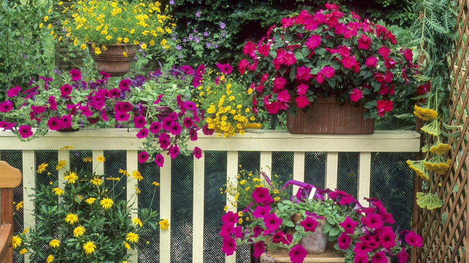 Kwiaty są doskonałą ozdobą tarasu i balkonu - PIXATERRA/stock.adobe.com