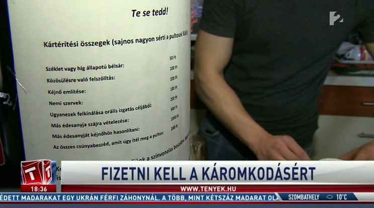 Különböző tarifákon mozognak a káromkodások, legdurvább áron más anyjának a szidása megy / Fotó: TV2 - Tények