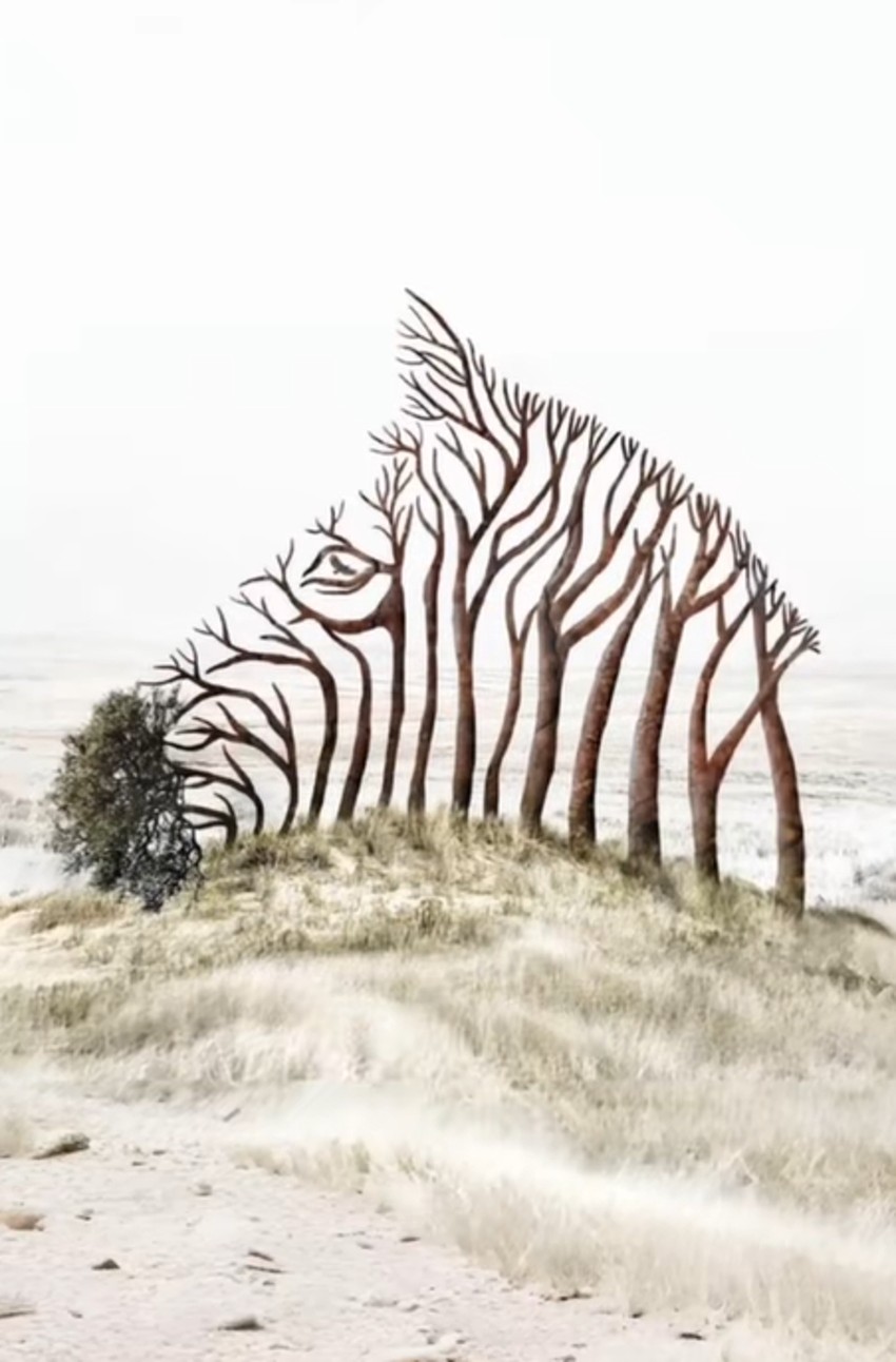 optička iluzija zebra