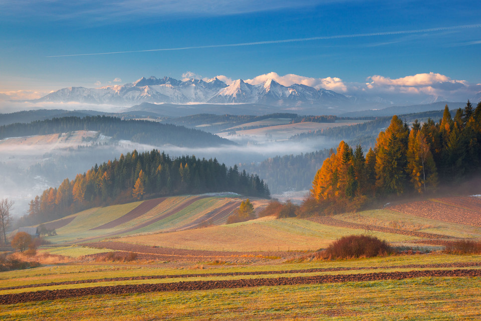 Widok na Tatry z Pienin
