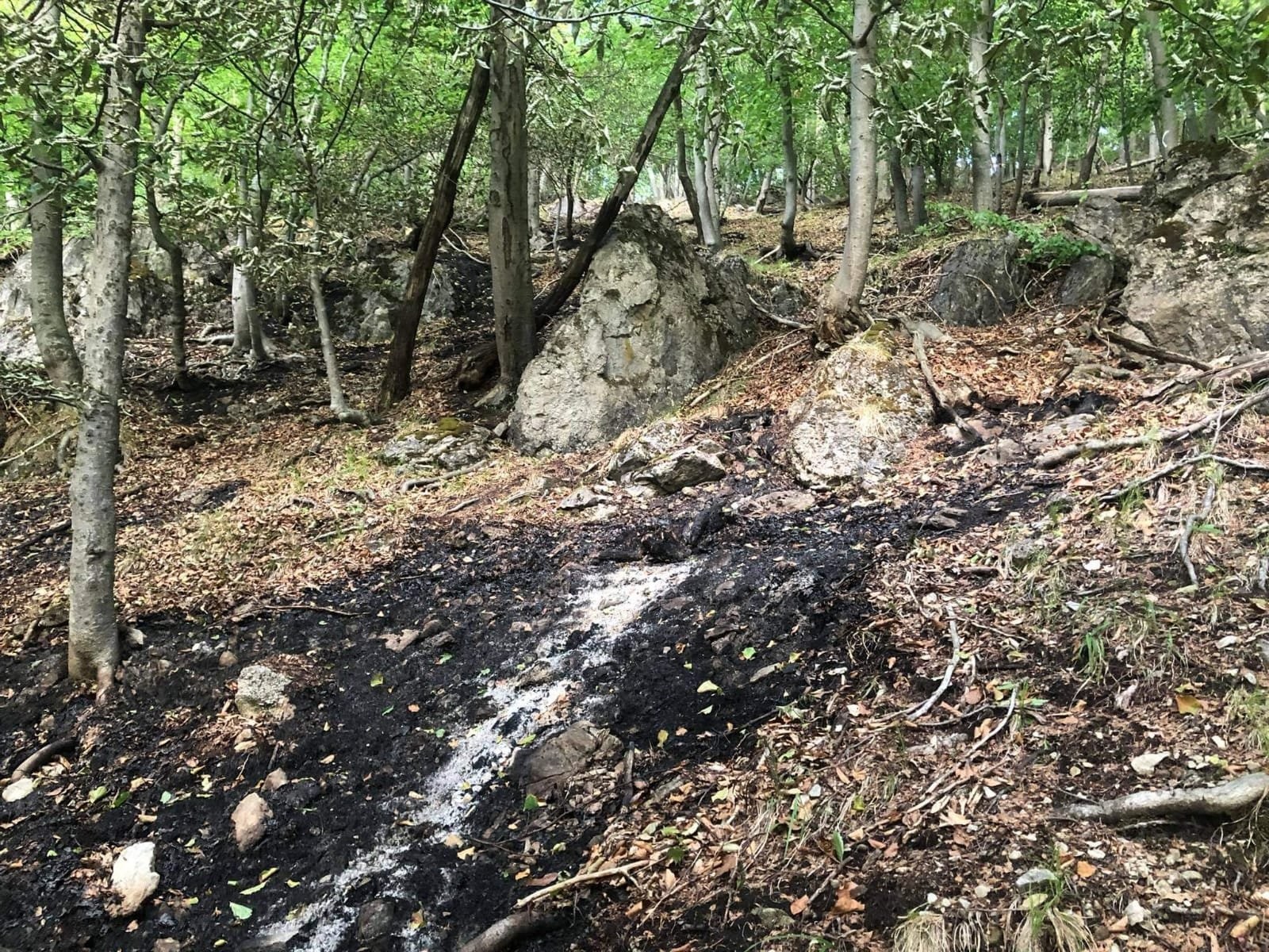 Požiar lesa v Národnom parku Veľká Fatra hasia za pomoci vrtuľníka.