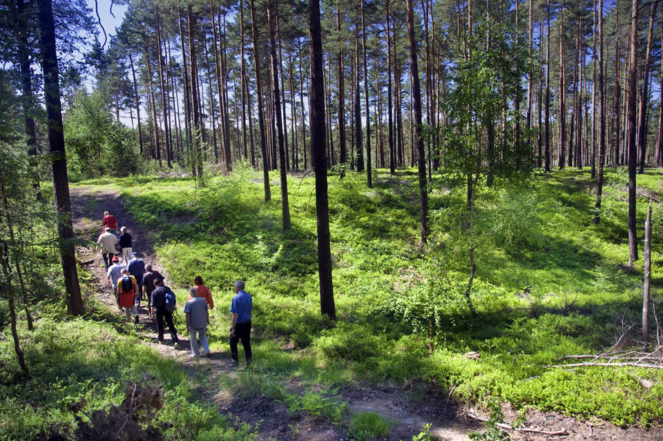 Łuk Mużakowa