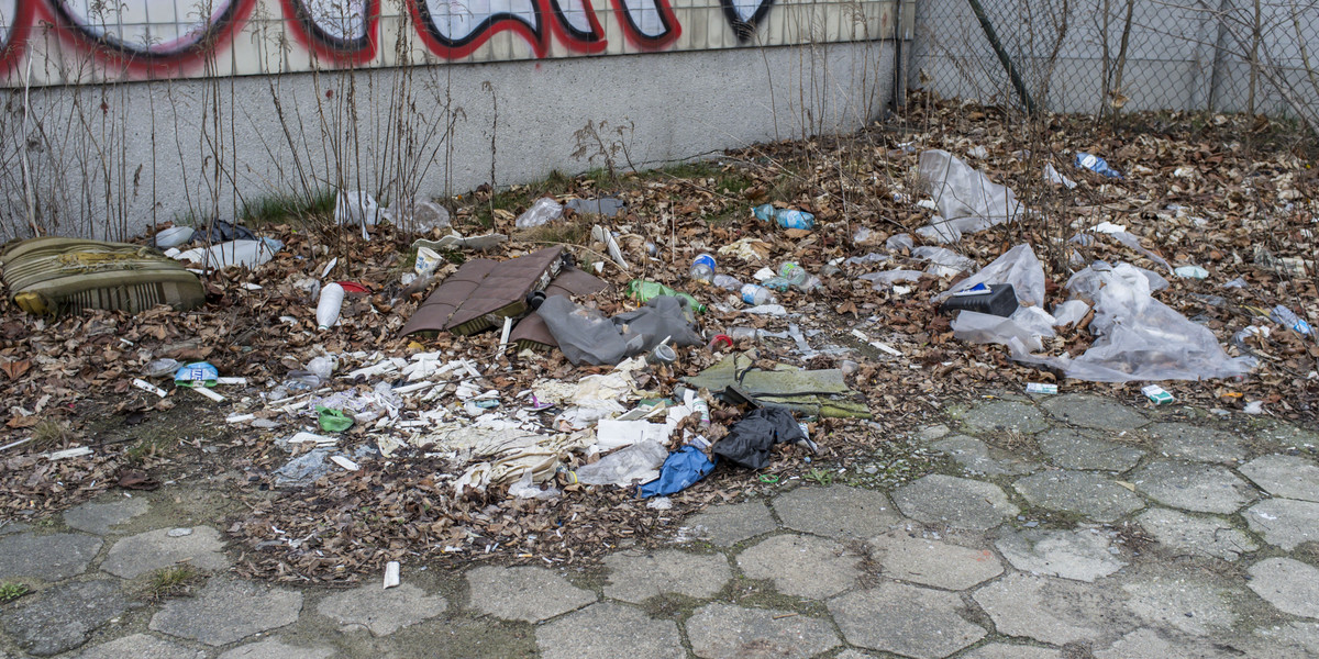 Studenci i doktoranci UAM stworzyli interaktywną mapę dzikich wysypisk śmieci