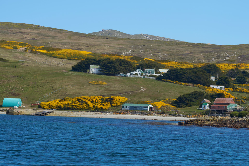 Wyspa West Point na Falklandach