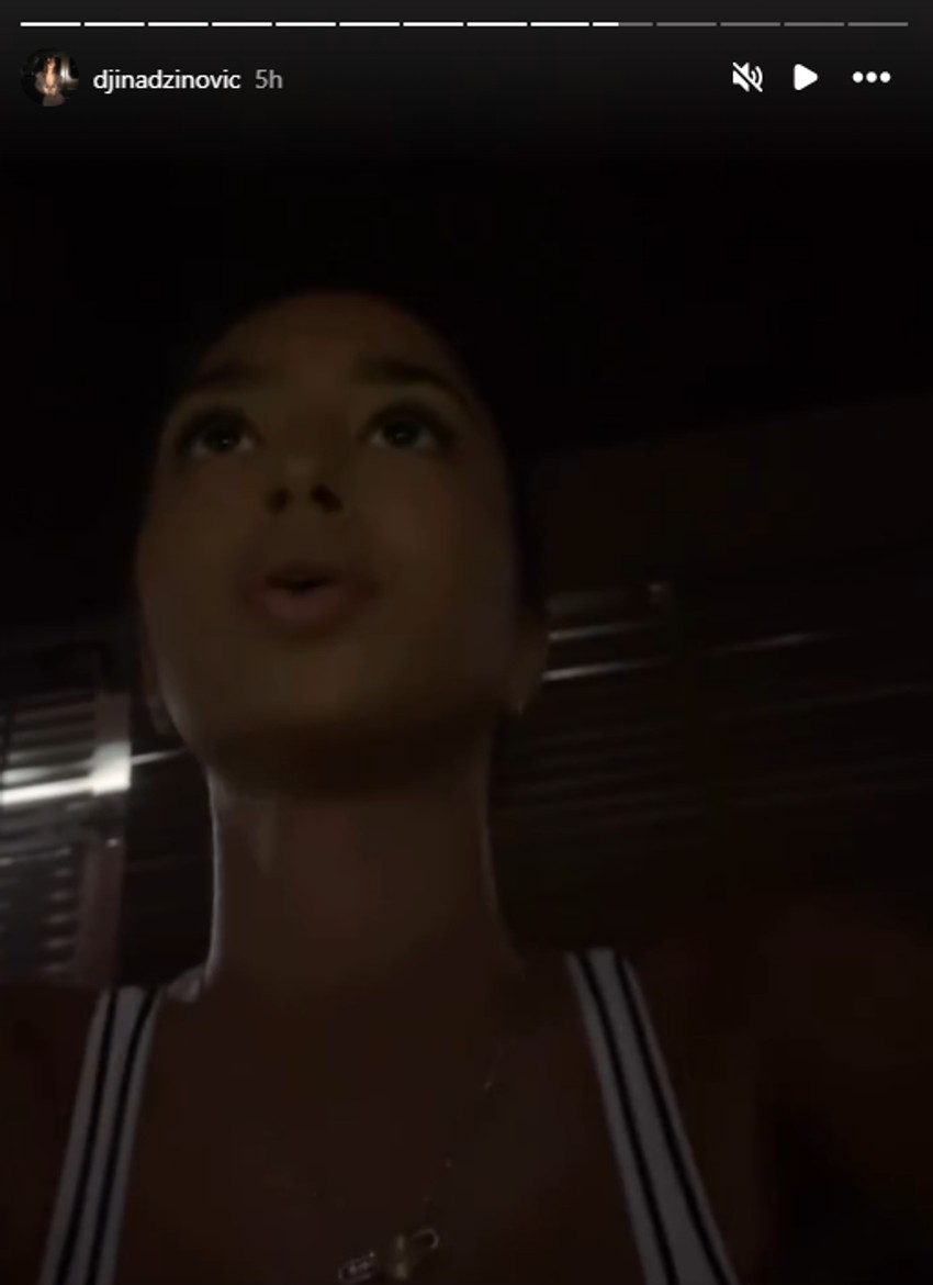 Đina Džinović, objava