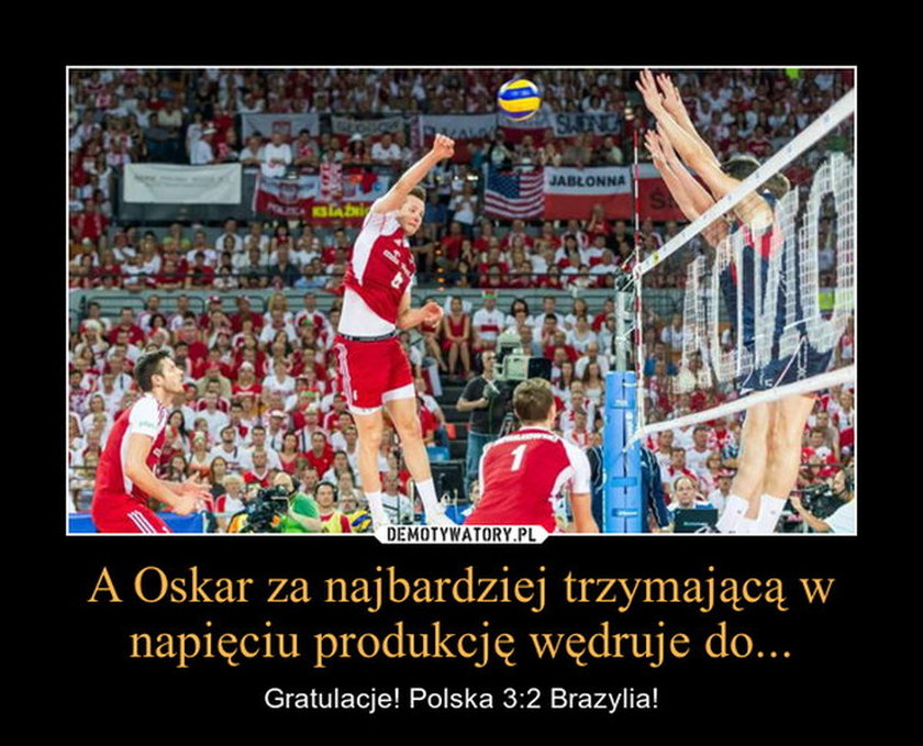 Memy internautów po meczu Polska - Brazylia! Galeria!