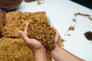 Zakaz e-papierosów i saszetek: straty dla budżetu i rolnictwa