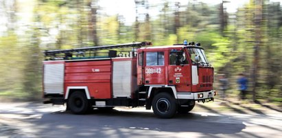 Trąba powietrzna w Lubelskiem. Zerwane dachy na budynkach mieszkalnych