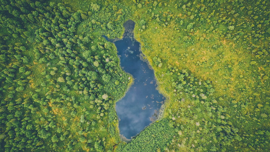Jezioro Neitokainen w Finlandii