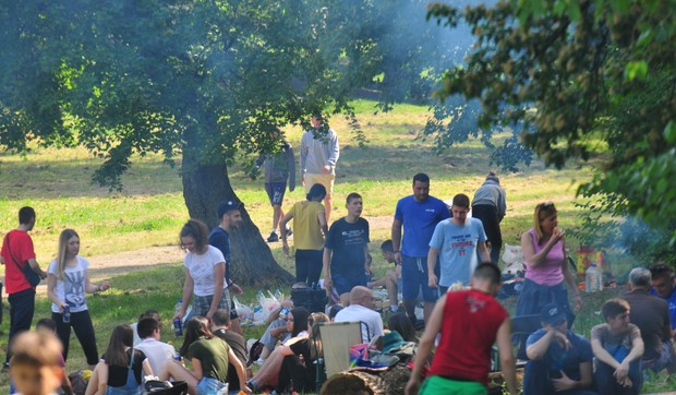 novi sad 2501 prvi maj