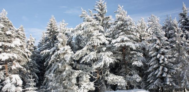 Ferie zimowe 2018 - Beskidy