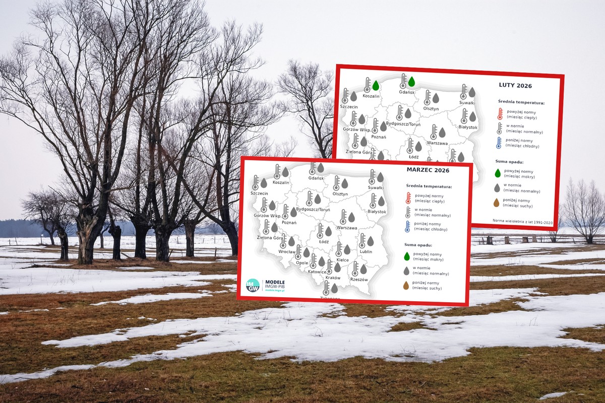 Kiedy przyjdzie wiosna? IMGW ujawnia nowe dane [PROGNOZA DŁUGOTERMINOWA]