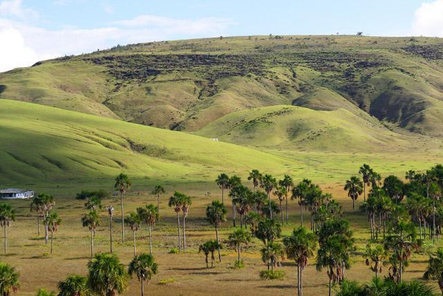 Galeria Wenezuela - Gran Sabana i Roraima, obrazek 1