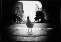 Zdjęcia zrobione puszką po piwie albo lodówką? Da się! Oto efekt