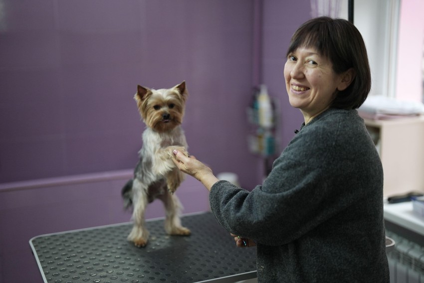 Vita sa Žorom, jorkširskim terijerom evakuisanim iz drugog grada na frontu, Lajmana, u salonu za negu kućnih ljubimaca. | Foto: BBC