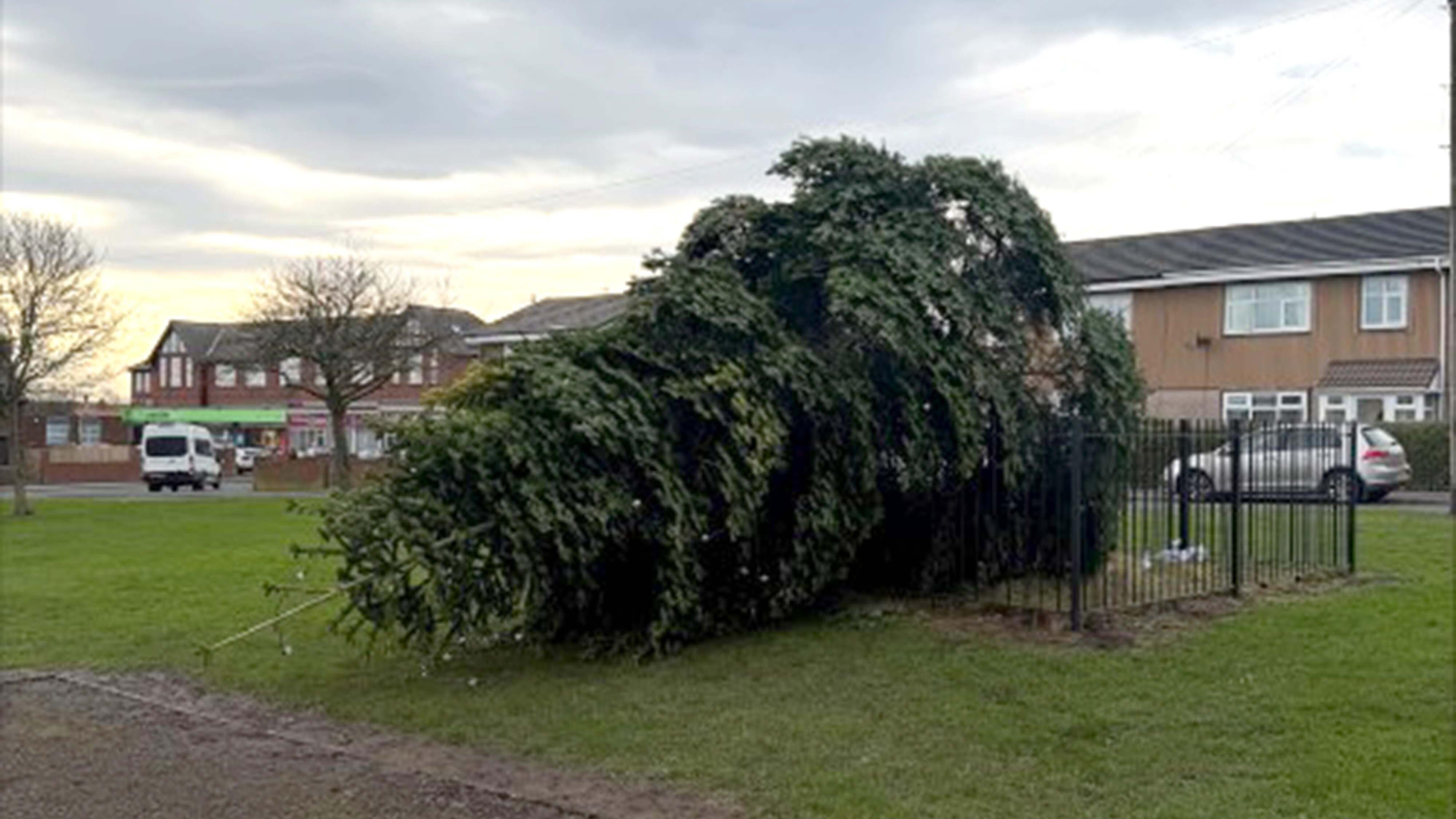 WWI Memorial Christmas Tree Cut Down Hours After Lights Switched On