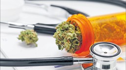 gif reaguje na nieprawidłowości przy wydawaniu marihuany medycznej. ap