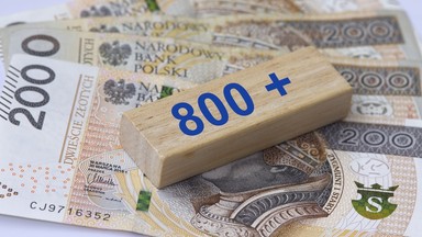 800 plus dla pracujących? Kto dostanie świadczenie?