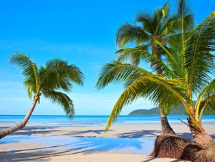 Chińskie firmy zbudują infrastrukturę na Wyspach Salomona za 825 mln dol.